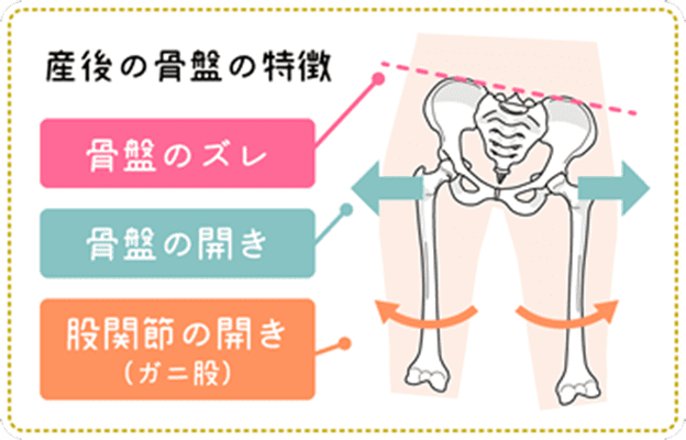産後の骨盤の特徴